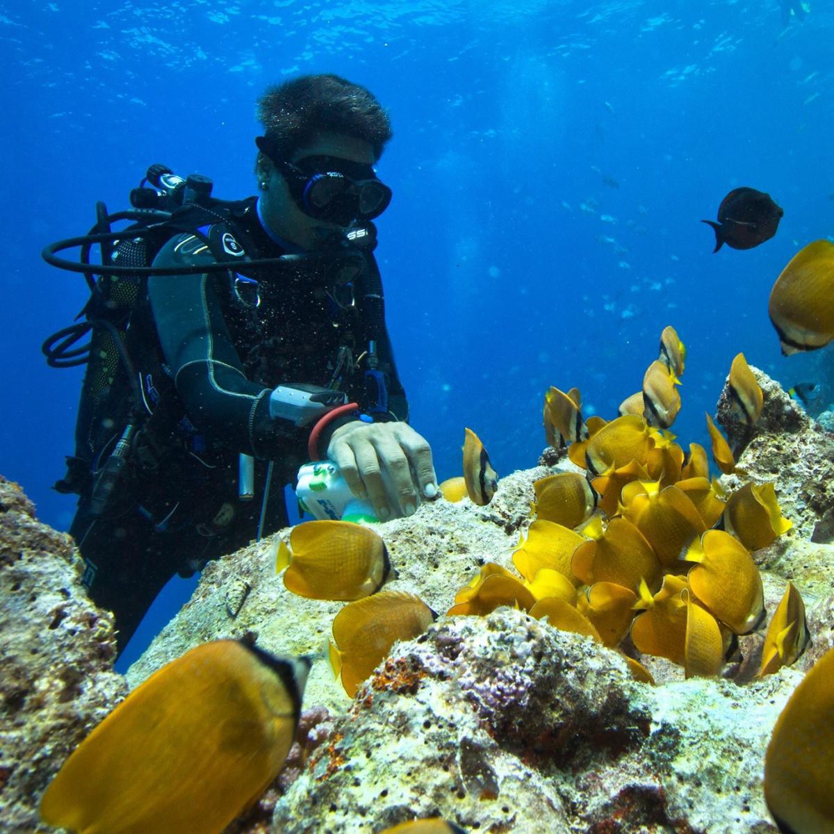 Buccaneer Diving Buccaneer Diving