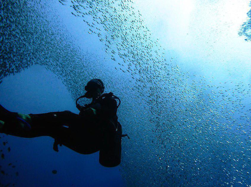 Buccaneer Diving Buccaneer Diving