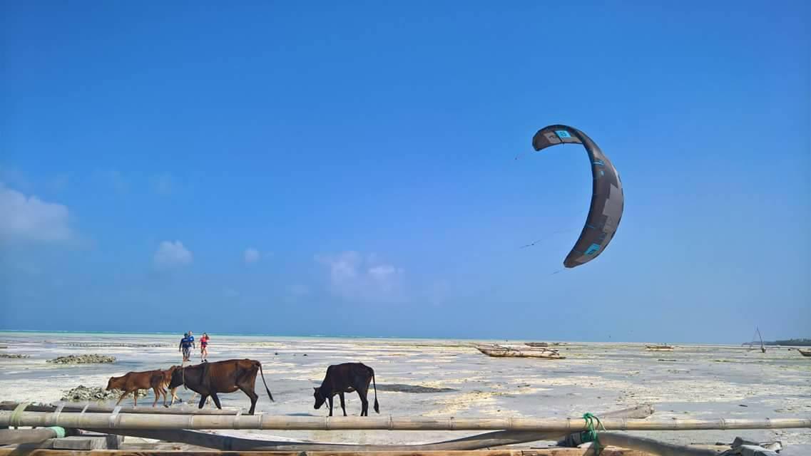 Lucky kite Lucky kite