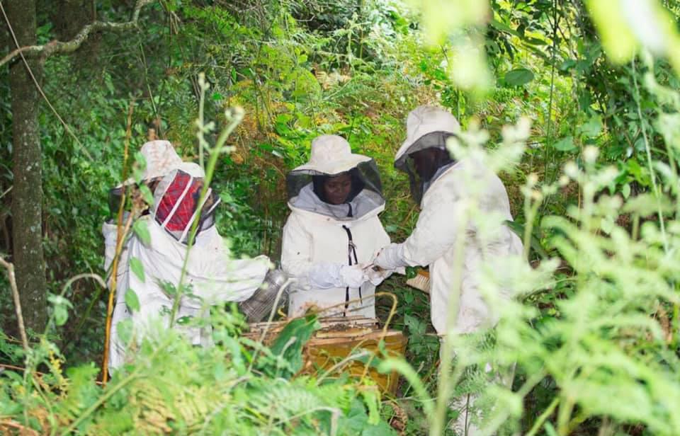 Barefoot College Zanzibar Barefoot College Zanzibar