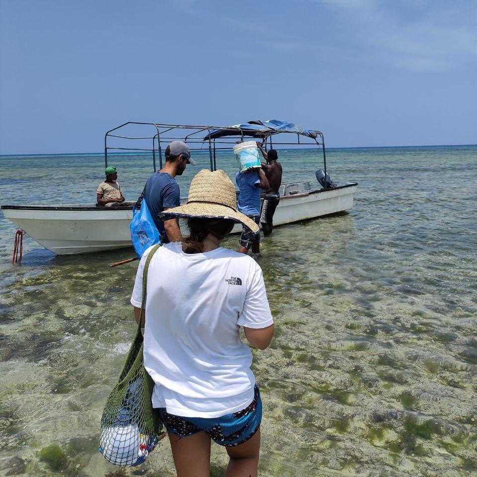 Under The Wave Under The Wave