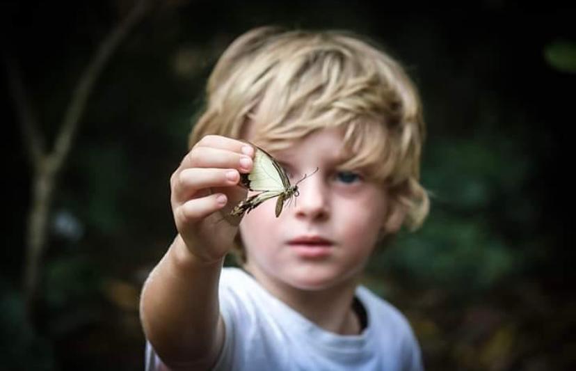 Zanzibar Butterfly Centre: What to Know Before You Visit