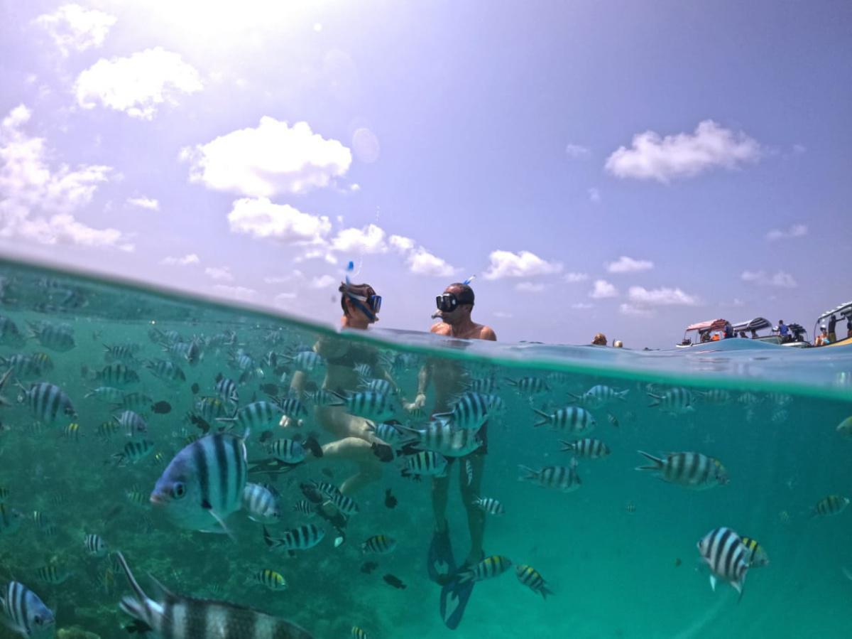 Cool Zanzibar : Diving & Snorkeling (5 Star)