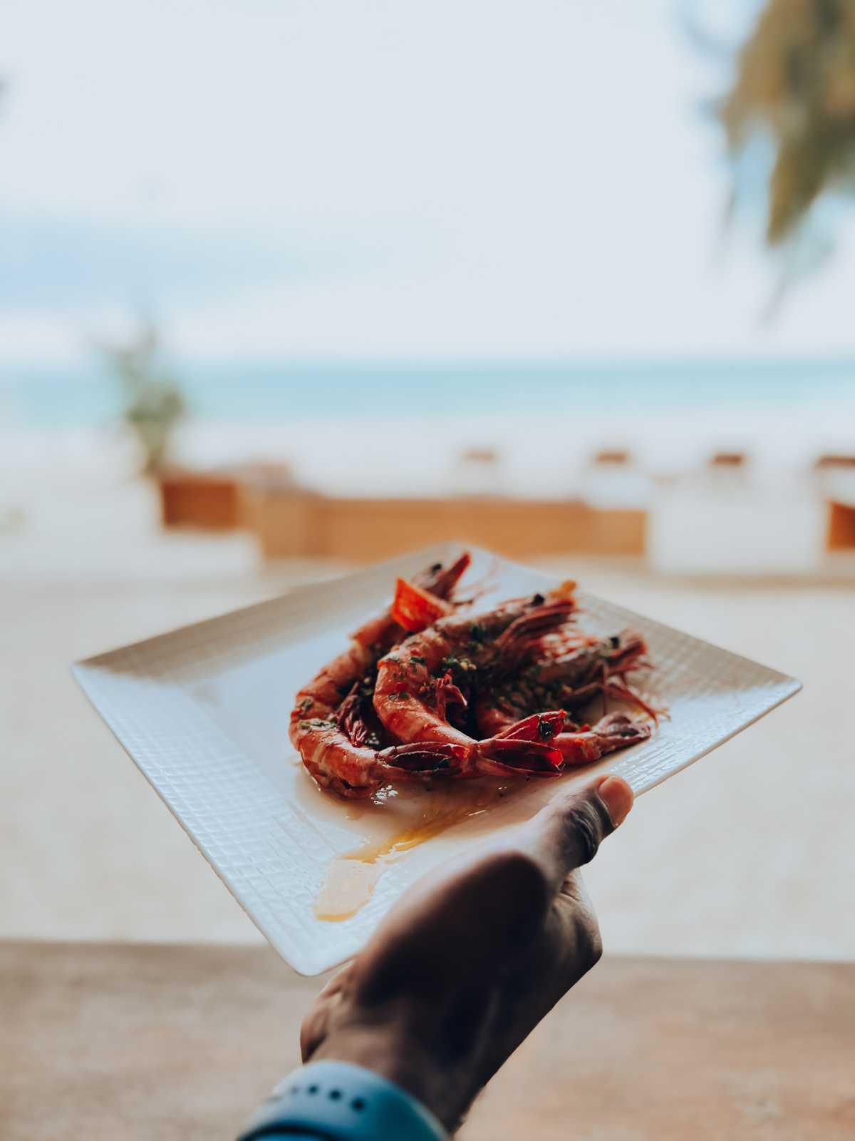 Meraki Zanzibar Meraki Zanzibar