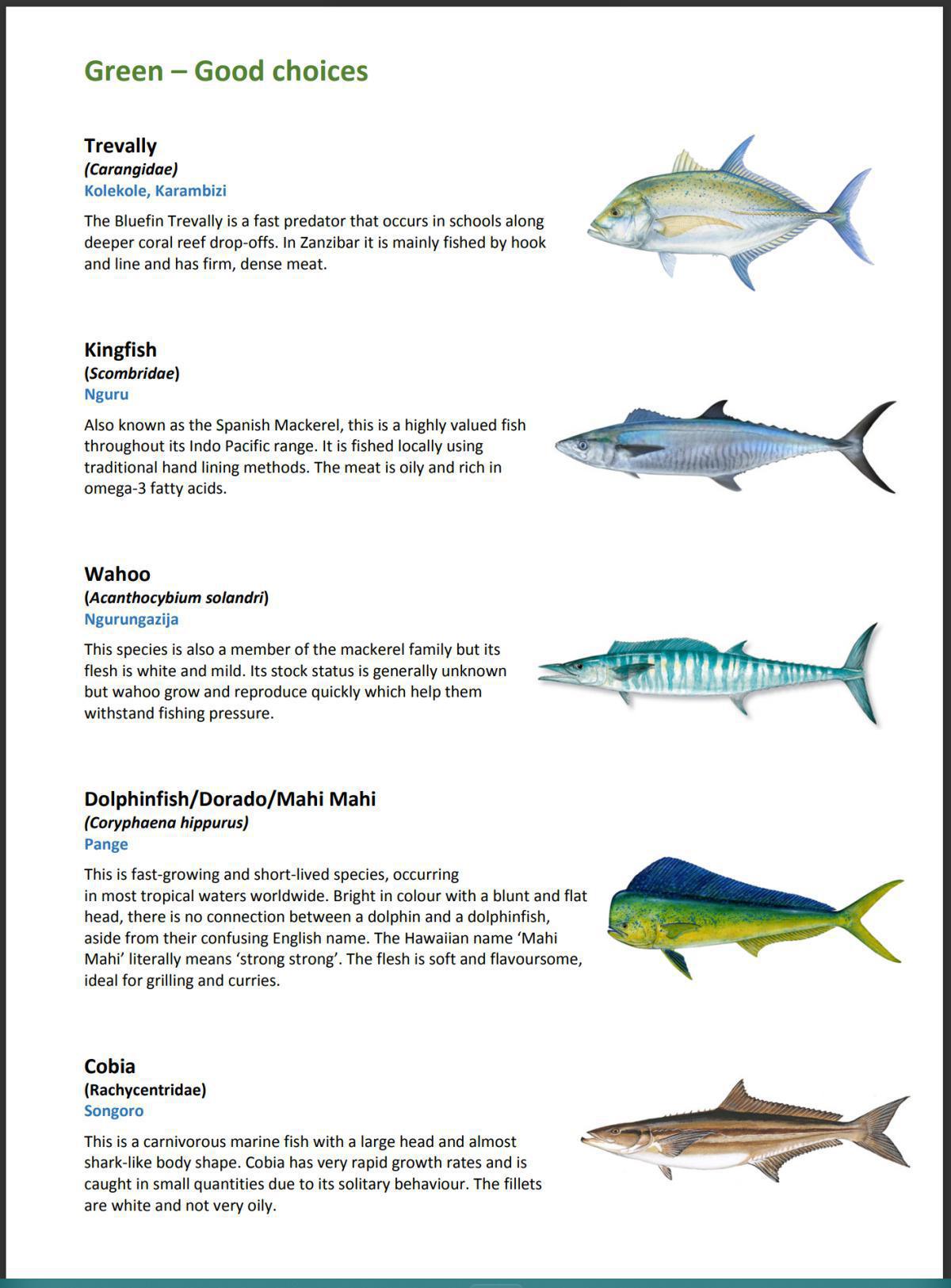 Sustainable Seafood Guide Sustainable Seafood Guide