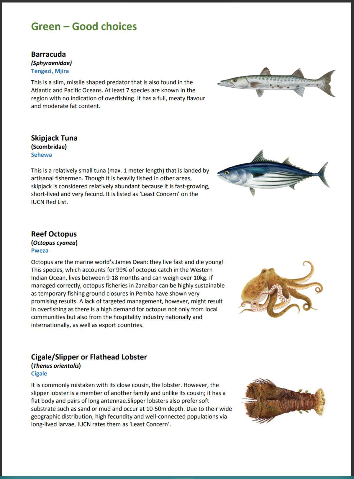 Sustainable Seafood Guide by Chumbe Island Coral Park