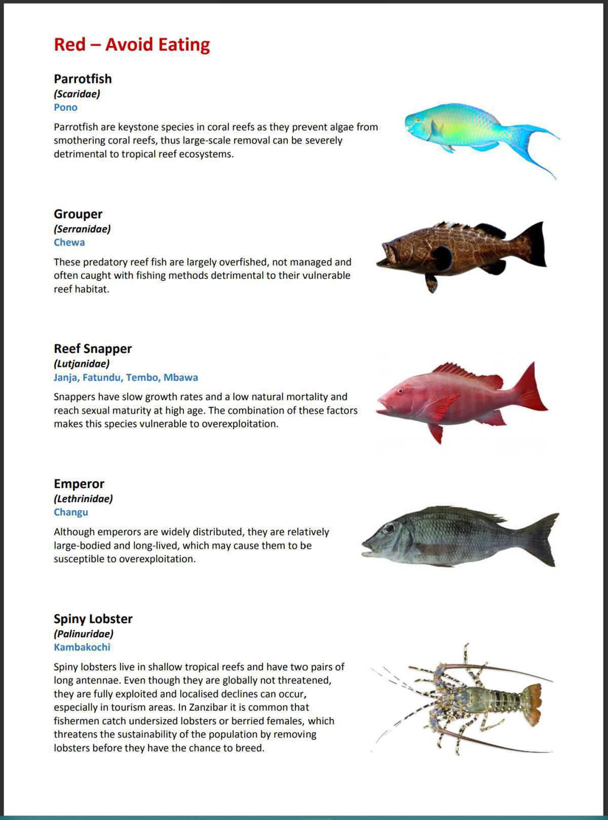 Sustainable Seafood Guide Sustainable Seafood Guide