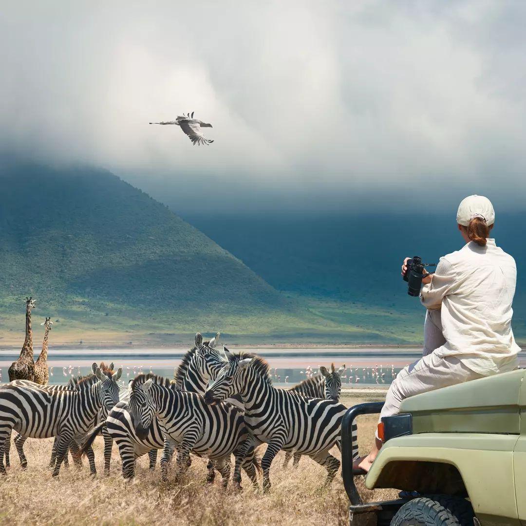 1Day SAFARI📍Mikumi National Park ▶️ $480 1Day SAFARI📍Mikumi National Park ▶️ $480