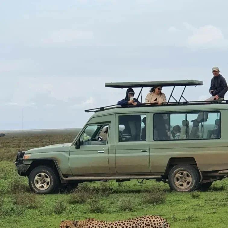 1Day SAFARI📍Mikumi National Park ▶️ $480 1Day SAFARI📍Mikumi National Park ▶️ $480