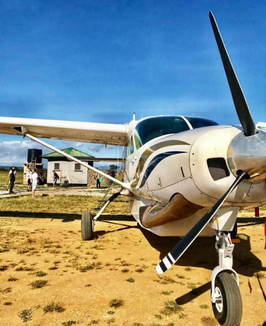 1Day SAFARI📍Selous Park ▶️ $500 1Day SAFARI📍Selous Park ▶️ $500