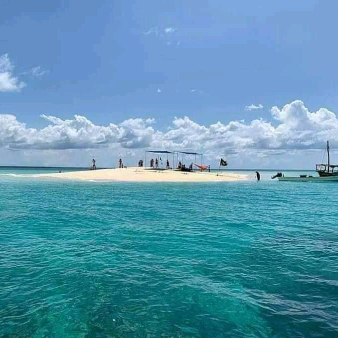 PUNGUME Sandbank & best Zanzibar coral reef 📍 Full Day ▶️$70pp PUNGUME Sandbank & best Zanzibar coral reef 📍 Full Day ▶️$70pp