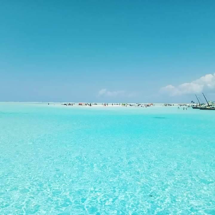 PUNGUME Sandbank & best Zanzibar coral reef 📍 Full Day ▶️$70pp PUNGUME Sandbank & best Zanzibar coral reef 📍 Full Day ▶️$70pp