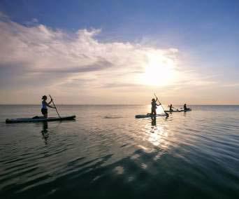 STAND UP PADDLING📍Half or Full Day ▶️ $50