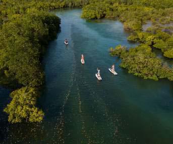 STAND UP PADDLING📍Half or Full Day ▶️ $50