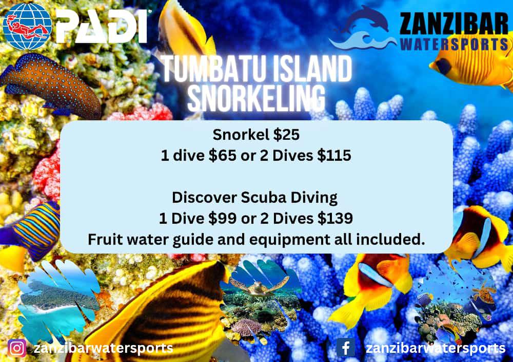 Snorkeling Tumbatu Island📍Kendwa ▶️ $65