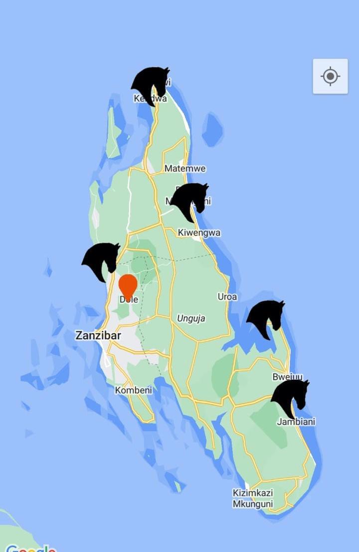 🏇🏿Horses in Zanzibar 🏇🏿Horses in Zanzibar