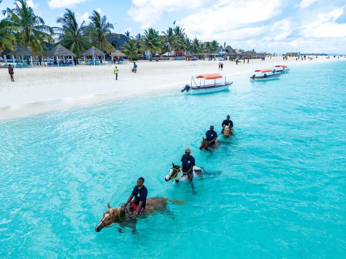 🏇🏿Horses in Zanzibar 🐎