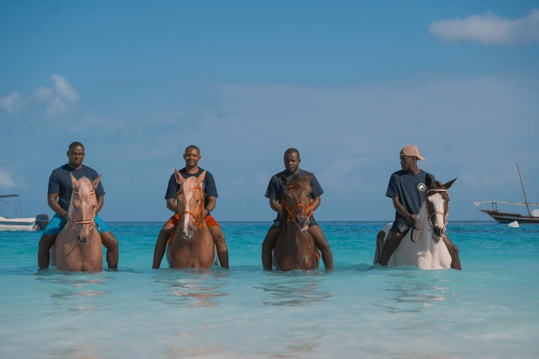 🏇🏿Horses in Zanzibar 🐎