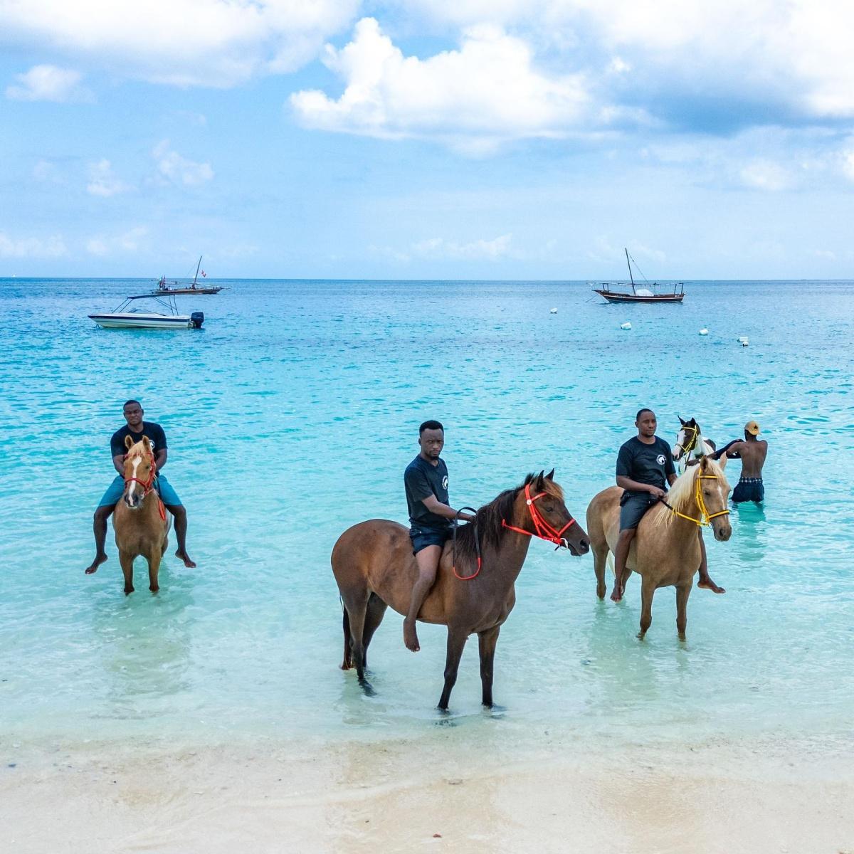 🏇🏿Horses in Zanzibar 🐎