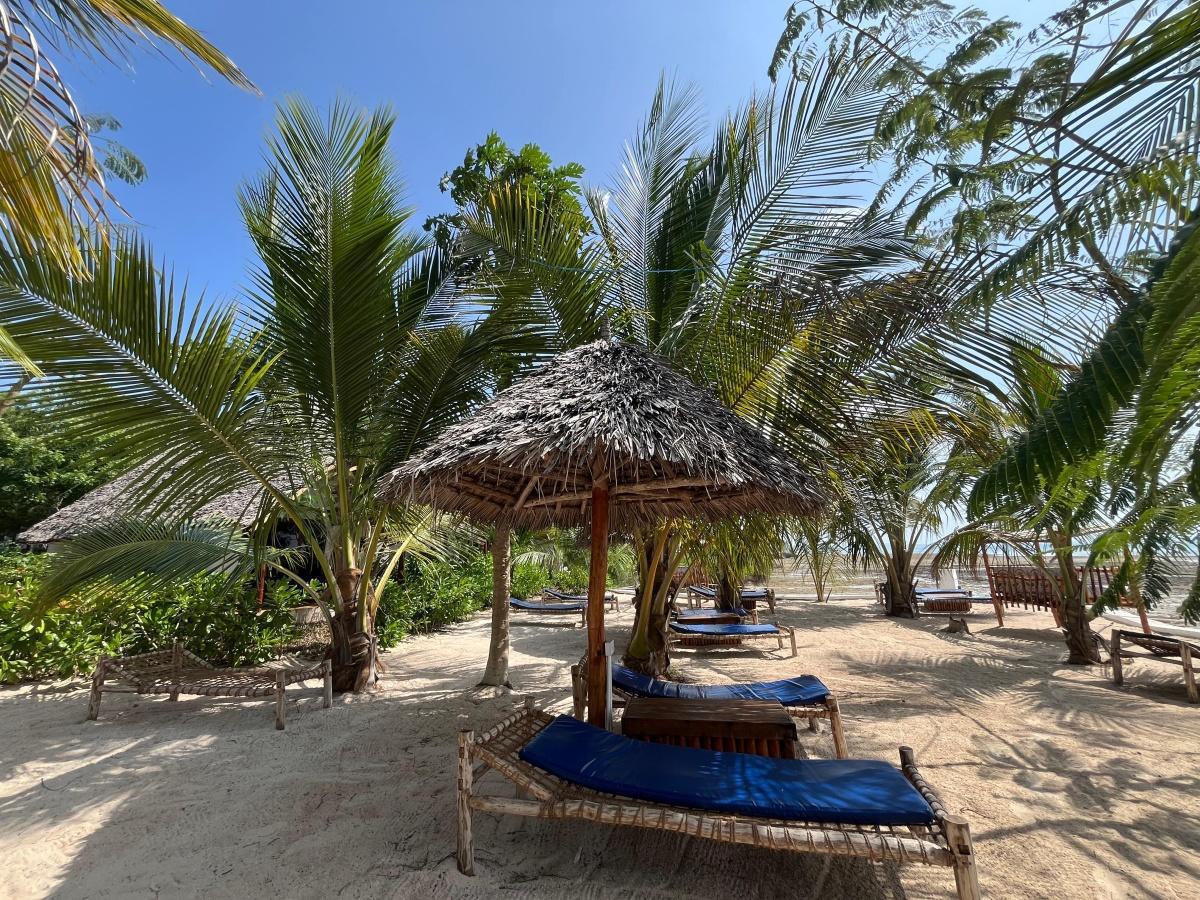 NYE Swahili way📍Kidoti Bay ▶️ $45 NYE Swahili way📍Kidoti Bay ▶️ $45