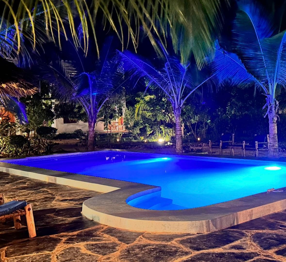 Blue Monday📍Kameleon Blue, Kizimkazi ▶️ Free Entry Blue Monday📍Kameleon Blue, Kizimkazi ▶️ Free Entry