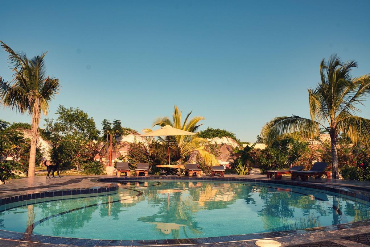 15% Resident Discount on all food and drinks & free jacuzzi ▶️ Paradise City 📍 Kidoti 15% Resident Discount on all food and drinks & free jacuzzi ▶️ Paradise City 📍 Kidoti