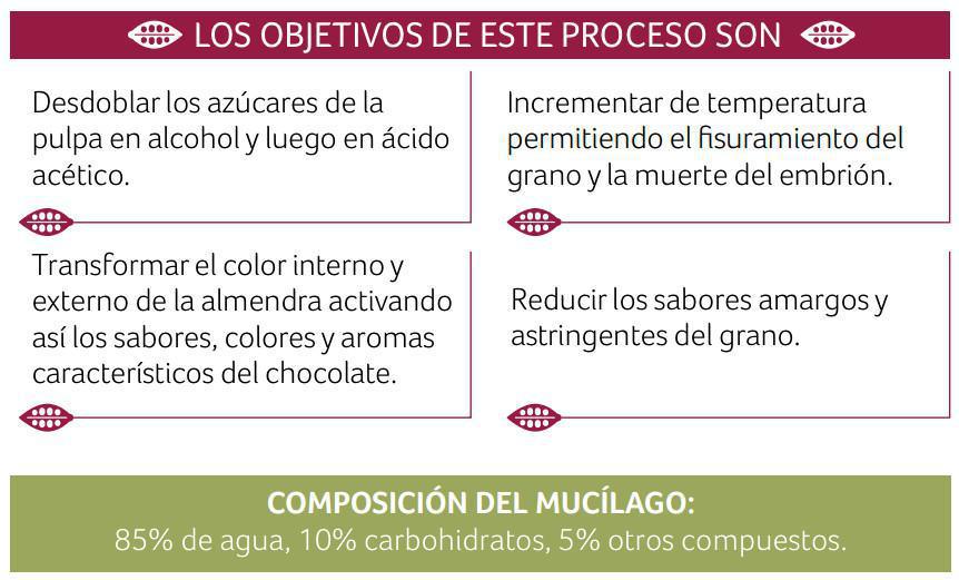 Fermentación Fermentación