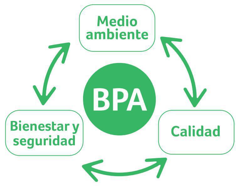 ¿Qué son las BPA? ¿Qué son las BPA?