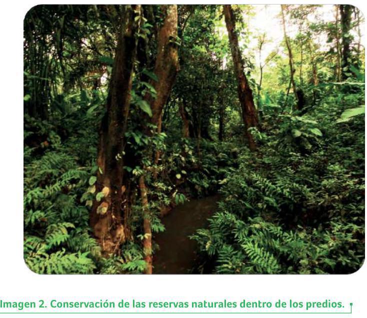 Medio ambiente Medio ambiente