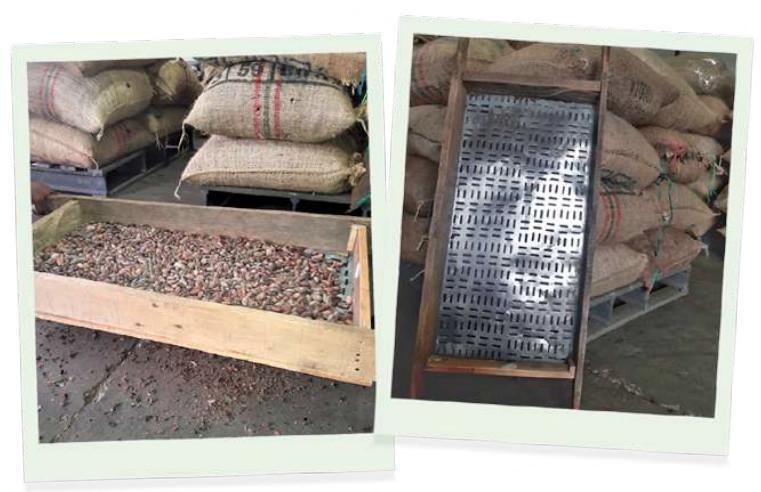 Selección del grano Selección del grano