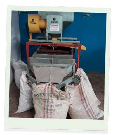 Selección del grano Selección del grano