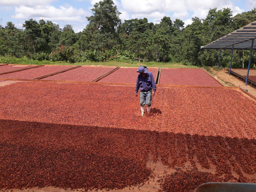 Recomendaciones para el secado Recomendaciones para el secado