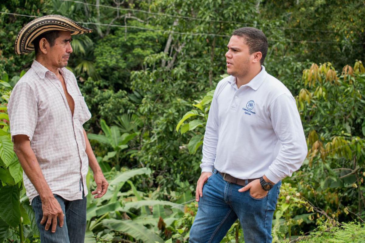 Proceso de formación Proceso de formación