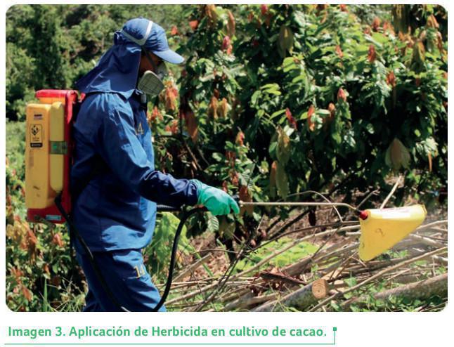 Aplicación Aplicación