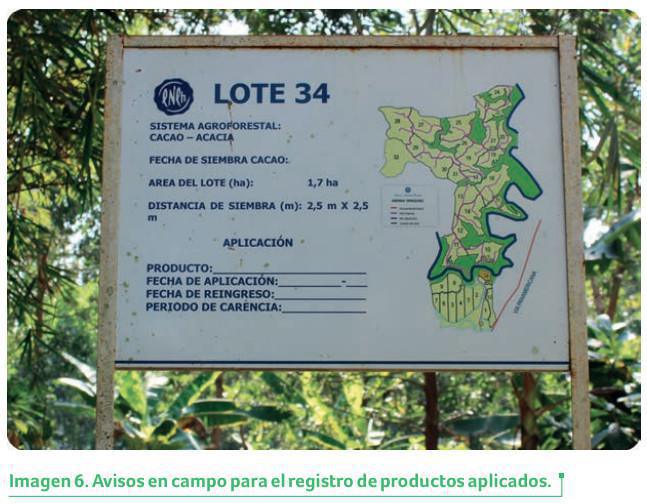 Periodo de reingreso (P.R.) y Periodo de carencia (P.C.) en el cultivo Periodo de reingreso (P.R.) y Periodo de carencia (P.C.) en el cultivo