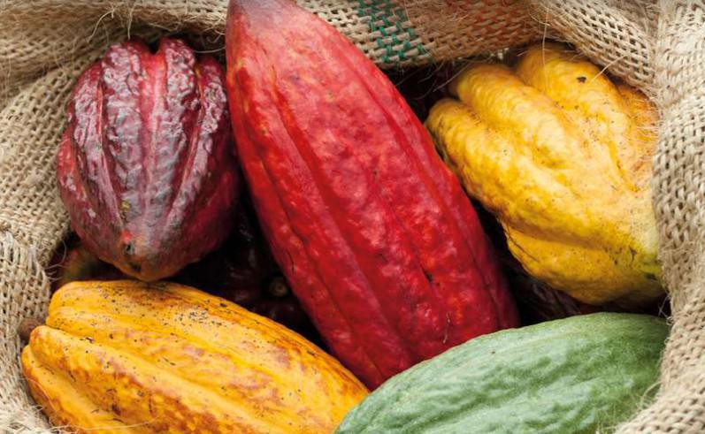 Recomendaciones generales Recomendaciones generales