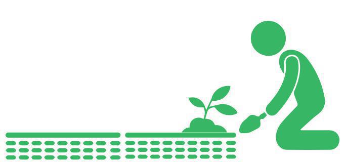 Establecimiento del cultivo Establecimiento del cultivo