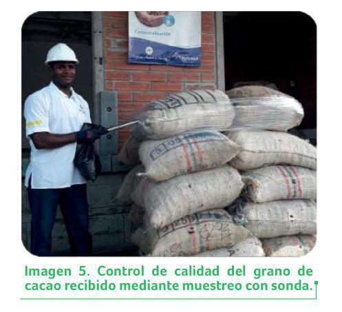 Comercialización Comercialización