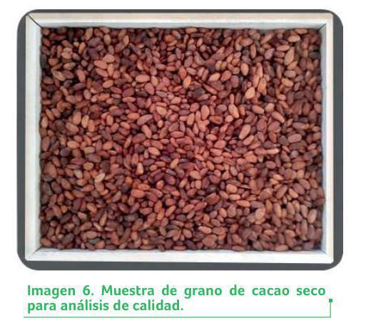 Comercialización Comercialización