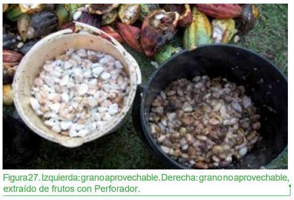 Daños e intensidad de pérdidas Daños e intensidad de pérdidas