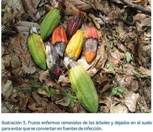 Control de la enfermedad Control de la enfermedad