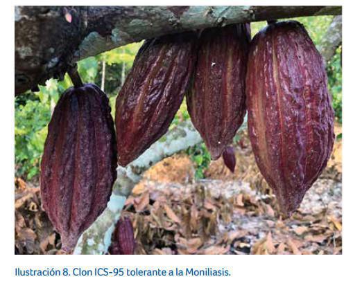 Control de la enfermedad Control de la enfermedad