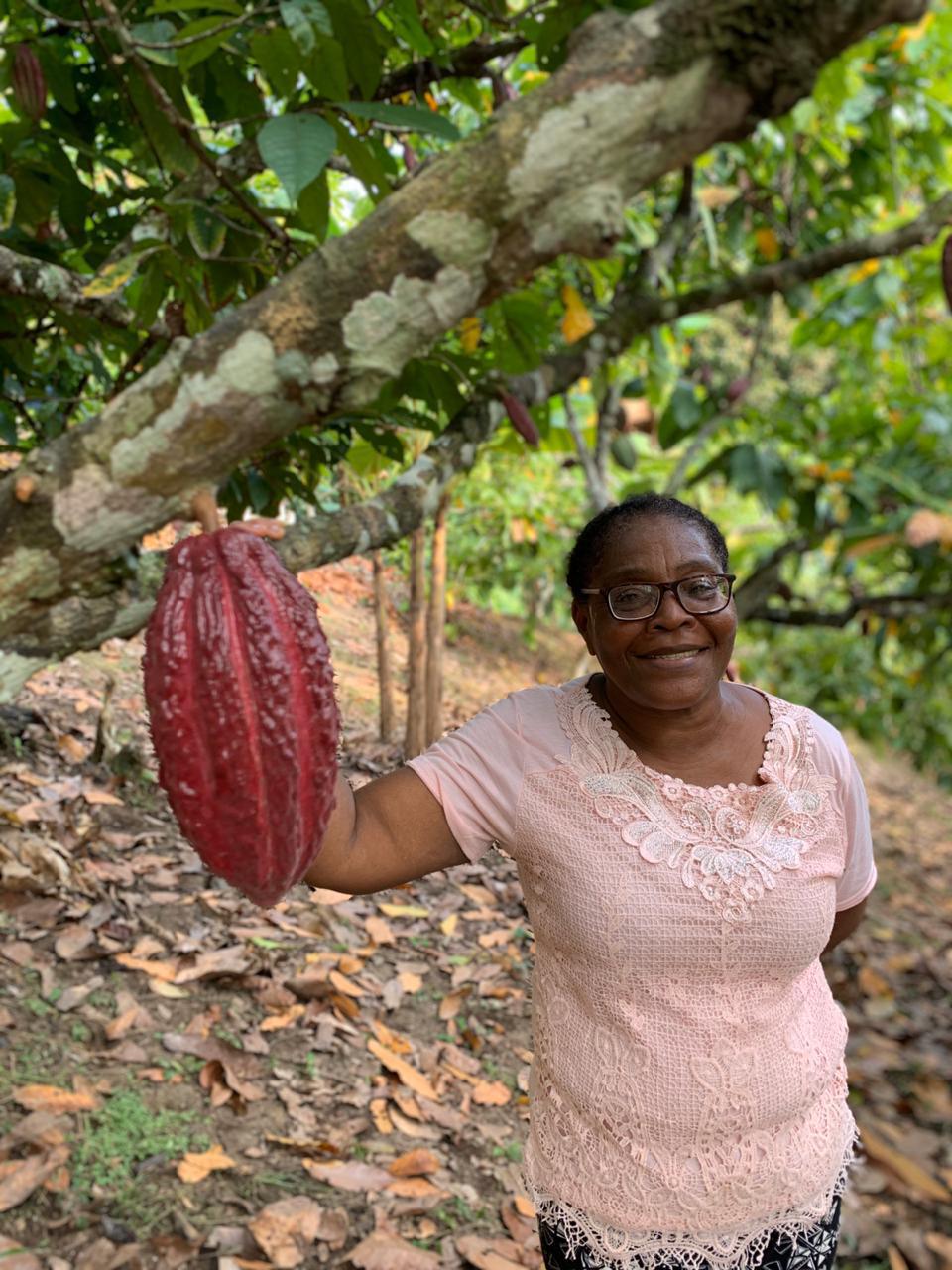 Encuesta de caracterización productores de cacao en Colombia Encuesta de caracterización productores de cacao en Colombia