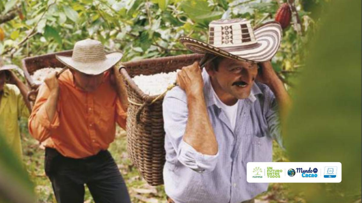 ¡Somos empresa incluyente recertificada de la Fundación ANDI! ¡Somos empresa incluyente recertificada de la Fundación ANDI!