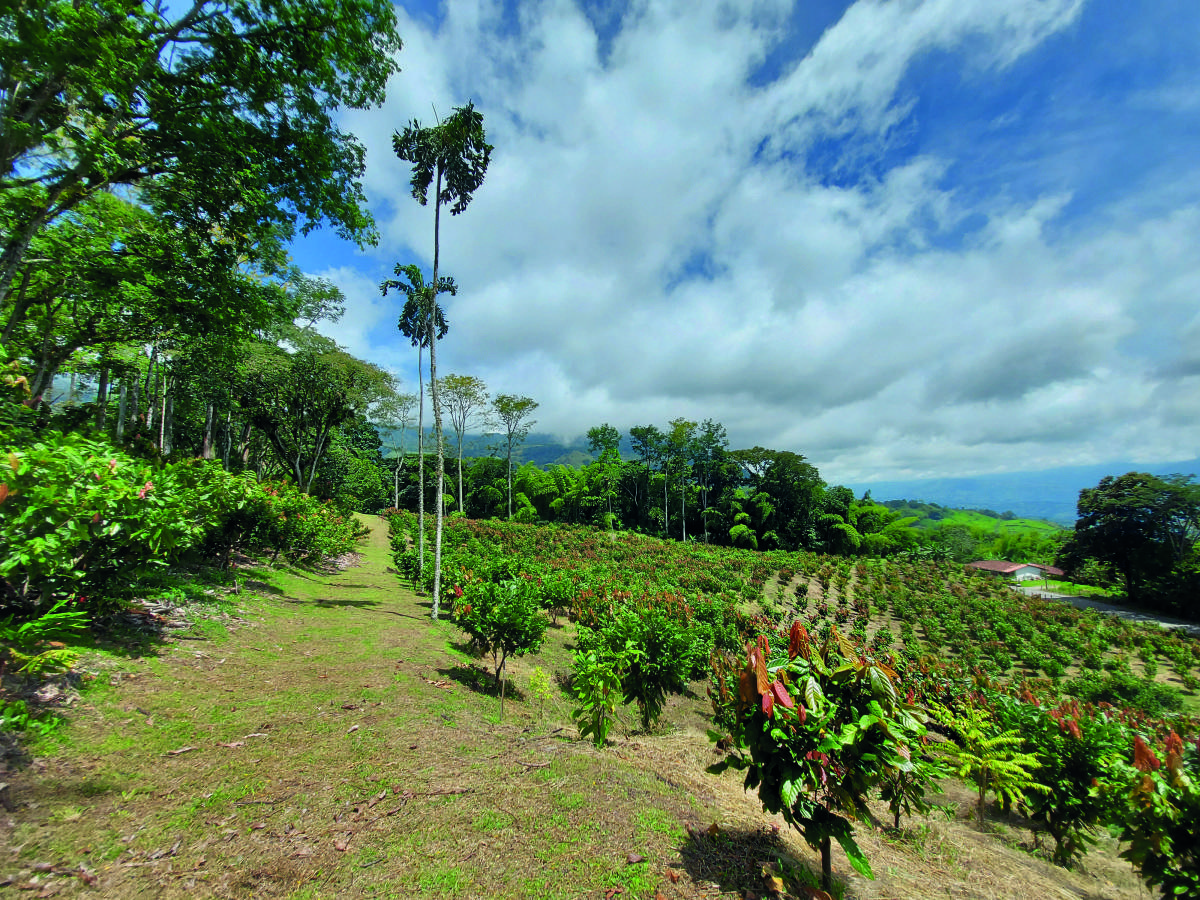 Generalidades Generalidades