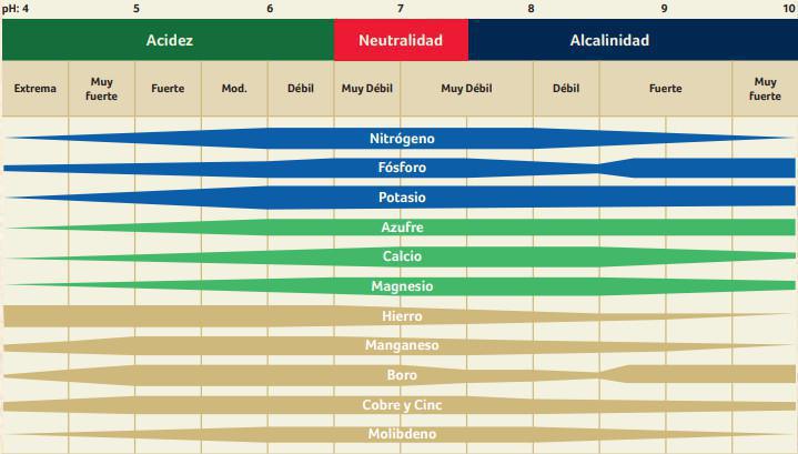 Nivel freático Nivel freático