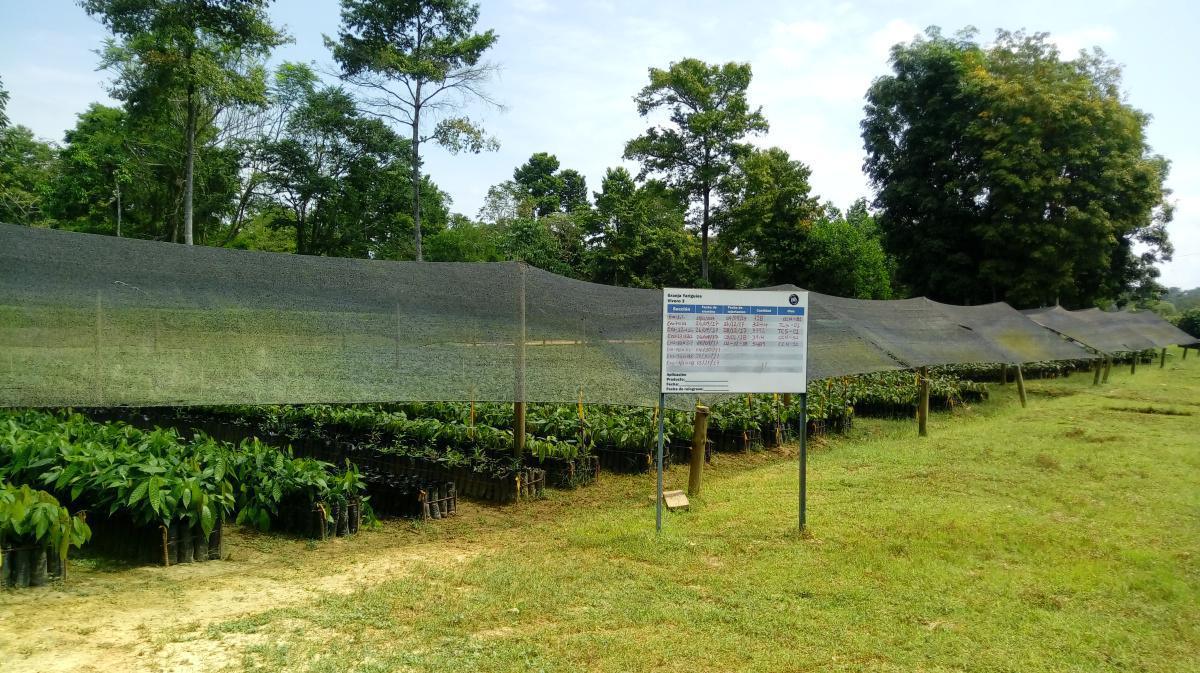 Porcentaje de sombra Porcentaje de sombra