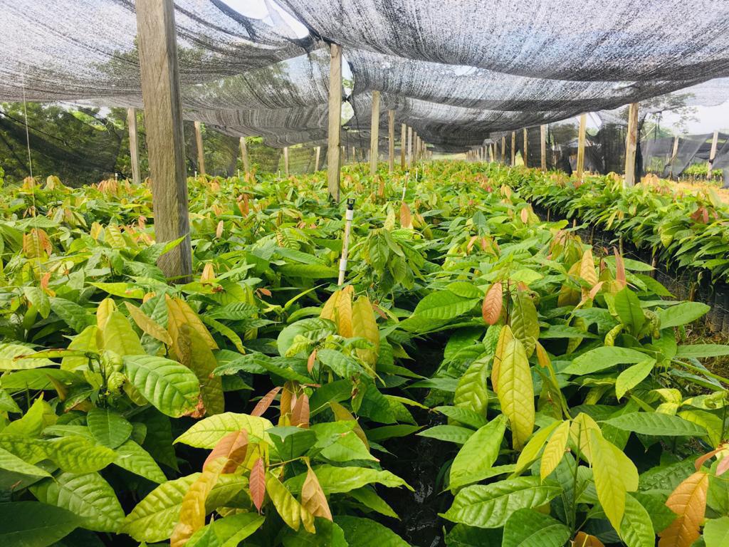 Generalidades Generalidades