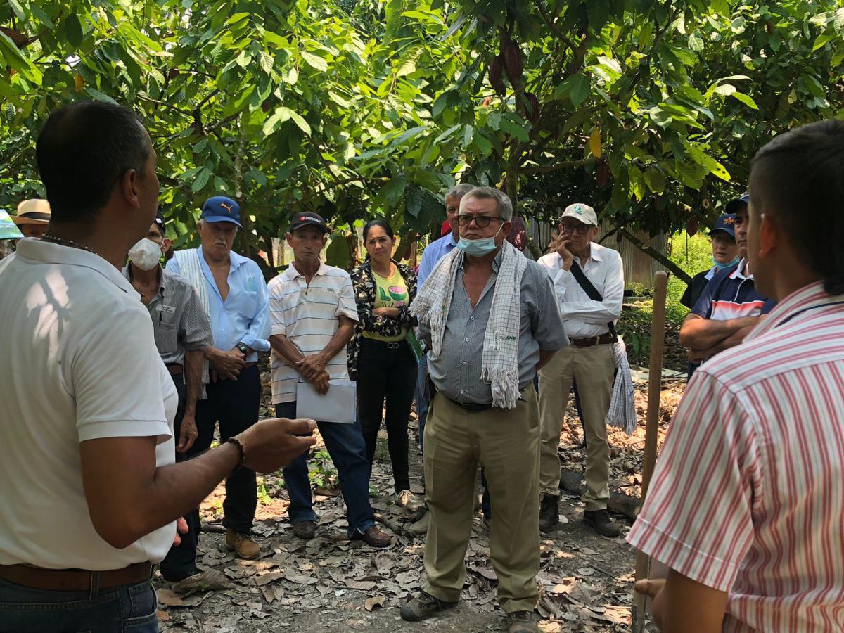 Fortalecimiento cacaotero en el departamento del Meta Fortalecimiento cacaotero en el departamento del Meta