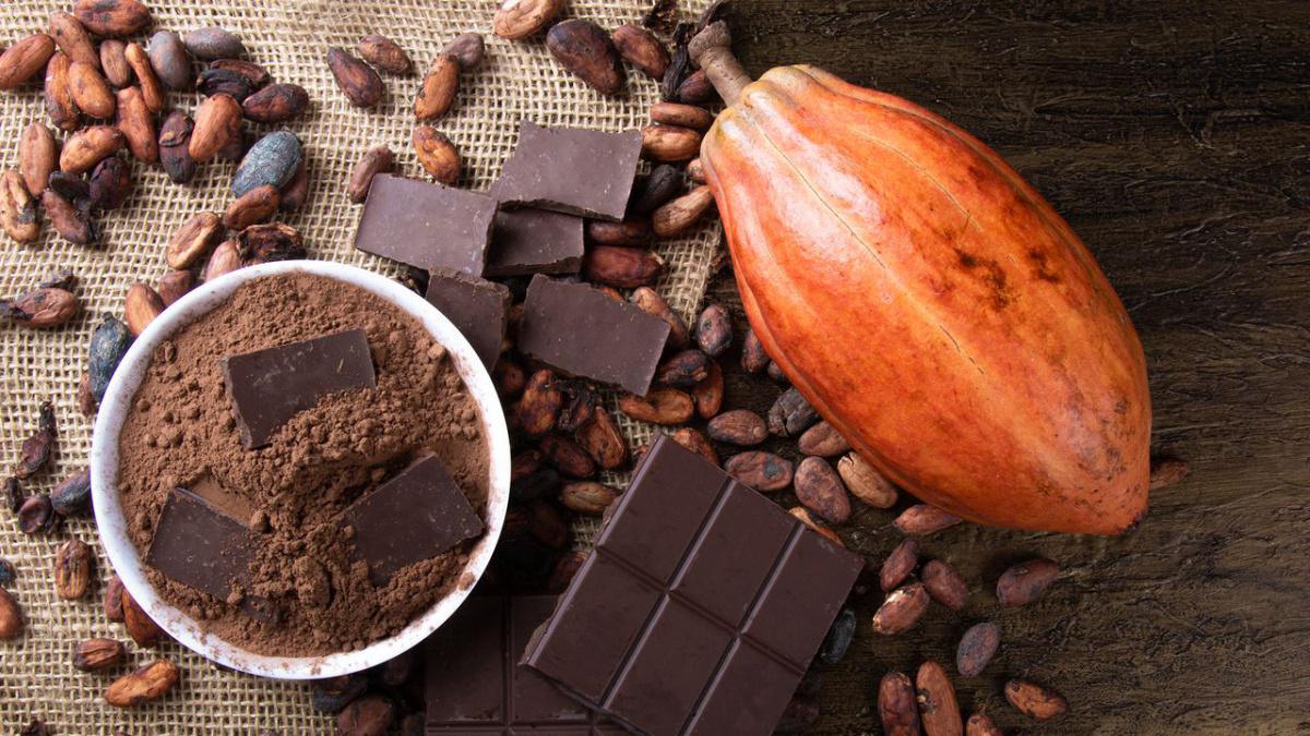 Suiza sigue seducida por el cacao colombiano para hacer su famoso chocolate Suiza sigue seducida por el cacao colombiano para hacer su famoso chocolate